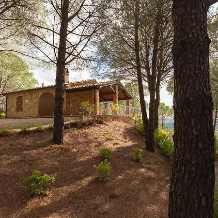 Le Pinetine Apartment