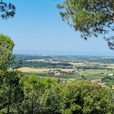 Le Pinetine Apartment Riparbella